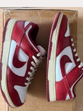 Nike Dunk Low Sneakers